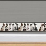 Border Collie Border Fabric