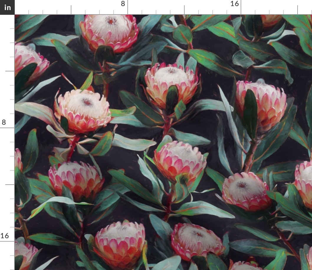 Evening Proteas - Pink on Charcoal