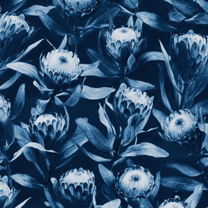 Evening Proteas in Indigo Denim Blue