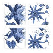 Tropicalia Floral ~ Blue and White 