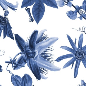 Tropicalia Floral ~ Blue and White 