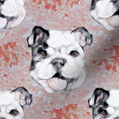 Happy Bulldog on red marble