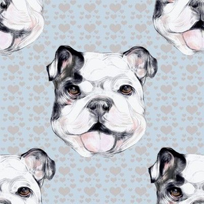 Happy Bulldog on gray hearts