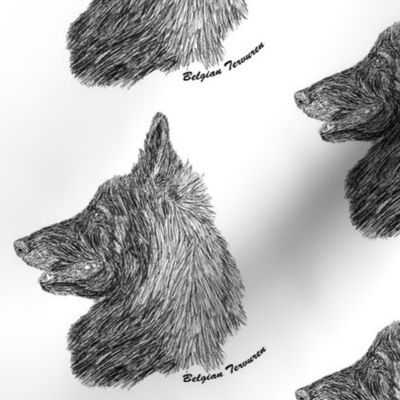 Belgian Tervuren sketch - black/white