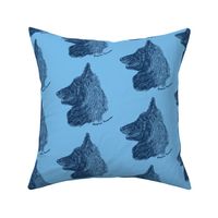 Belgian Tervuren sketch - Navy/sky blue