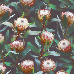 Evening Proteas - Green, red and soft grey