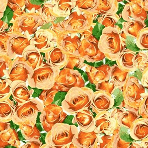 Abundant Roses - Apricot