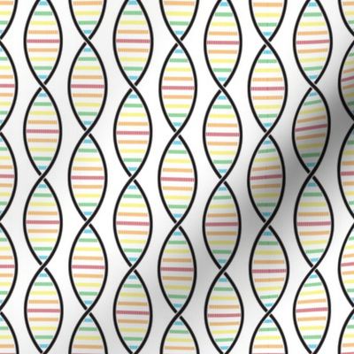 DNA Strands (Rainbow)