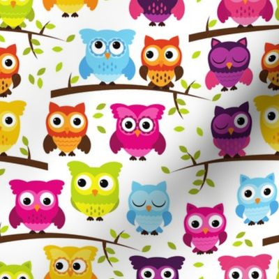 Rainbow Owls and Branches