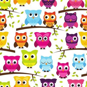 Rainbow Owls and Branches