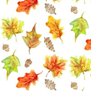 fall leaves and acorns