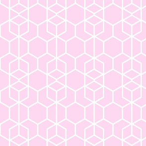 Geo Frame Pink