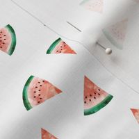 Watermelon Watercolour