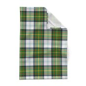 Gillies dress green tartan, 6"