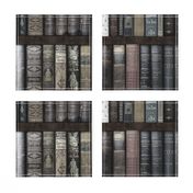 Monsieur Fancypantaloons' Instant Library Bookcase ~ Moonlight 