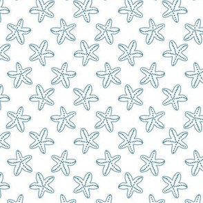 Starfish gazing dark aqua