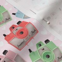 Vintage Cameras - Pink - Small
