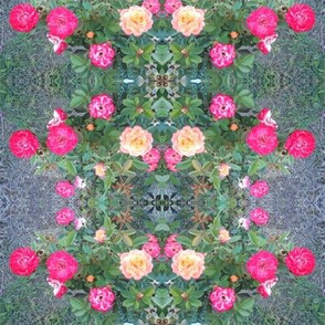 Rose Rings in the Twilight Garden (Ref. 3149)