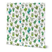 Cactus cacti garden botanical succulent green garden pattern illustration print