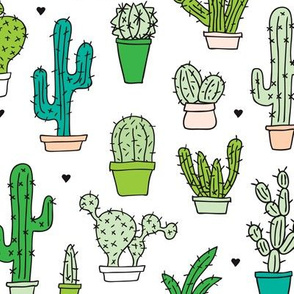 Cactus cacti garden botanical succulent green garden pattern illustration print