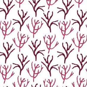 Pink Picked Branches