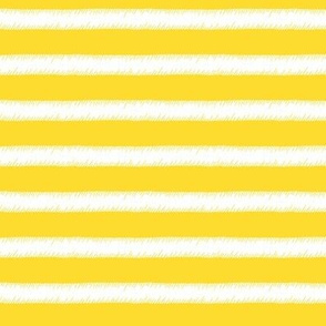 White on Yellow Stripe