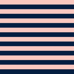 Pink & Navy Stripe // Briar Woods