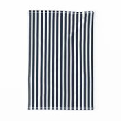 Navy and White Sailor Stripes