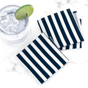 Navy and White Sailor Stripes