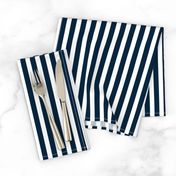 Navy and White Sailor Stripes