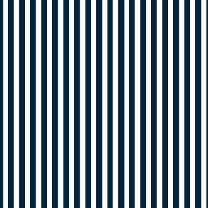 Navy and White Sailor Stripes