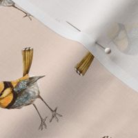 Golden Wrens on Peach