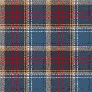 Michigan tartan - downstate, 4"