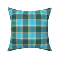 Michigan tartan - great lakes, 4"