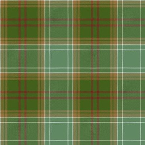 Michigan tartan - grasslands, 4"