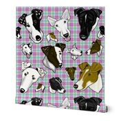 Smooth Fox Terrier Large Pastel Plaid 