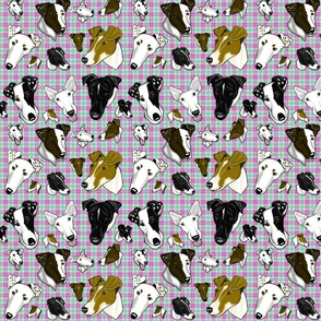 Smooth Fox Terrier Large Pastel Plaid 