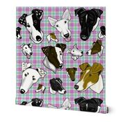 Smooth Fox Terriers in Pastel plaid TINY