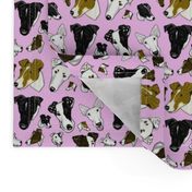 Smooth Fox Terrier Fabrics In Pink TINY