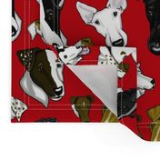 Smooth_Fox_Terrier_Fabric_RED