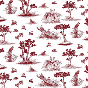 bobwhite quail toile de jouy red