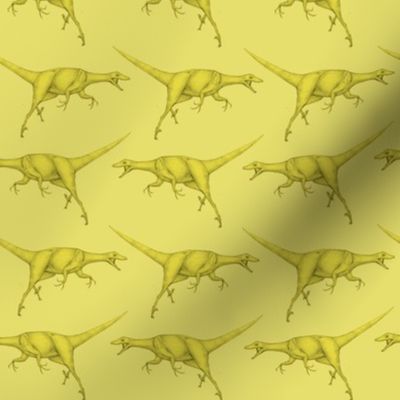 velociraptors yellow