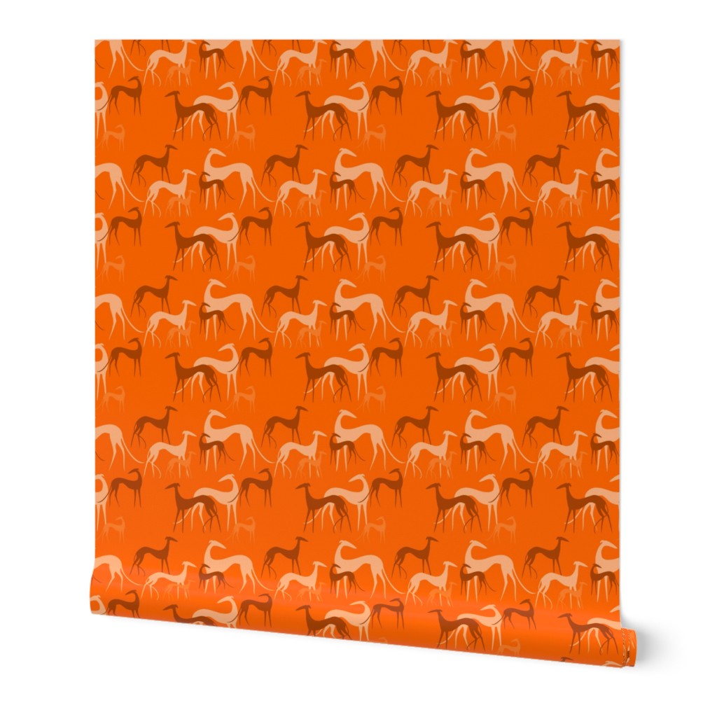 sighthoounds orange