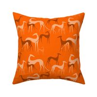 sighthoounds orange