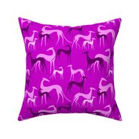 sighthounds pink