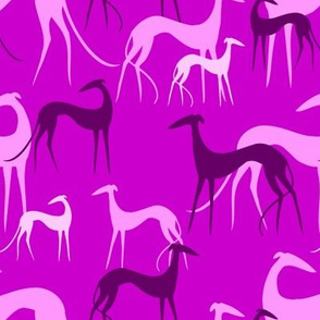 sighthounds pink