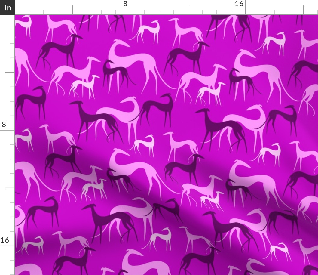 sighthounds pink