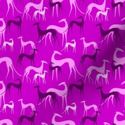 sighthounds pink small