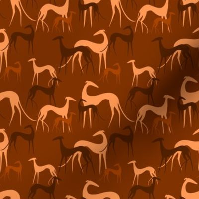 sighthounds brown orange