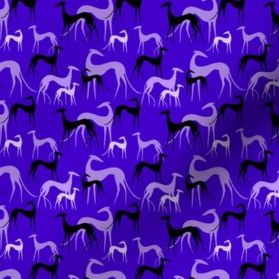 sighthounds aubergine small